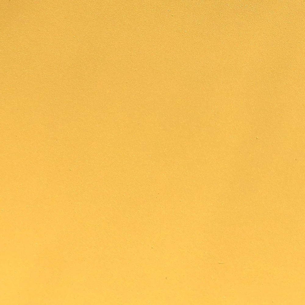 Meet your Posher, Anaya